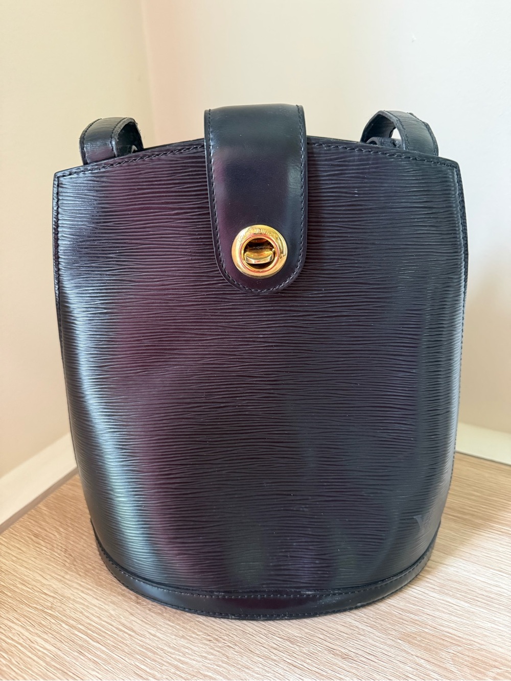 Louis Vuitton Epi Cluny Black Leather Shoulder Bag with Gold-Tone Turn Lock